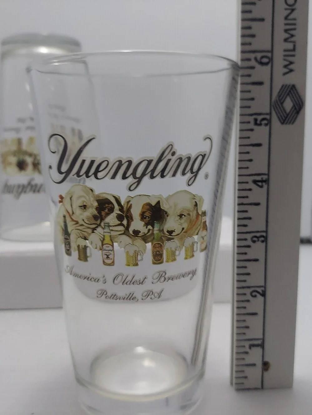 Yuengling Clear Pint Glass with Dog Artwork - Clear - Picture 11 of 14